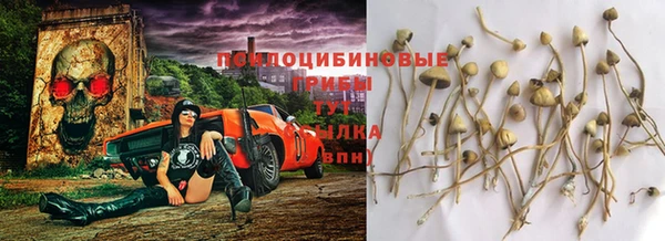 мет Белокуриха
